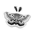 Halloween Butterfly Cape Costume with Headpiece for Role Play and Parties