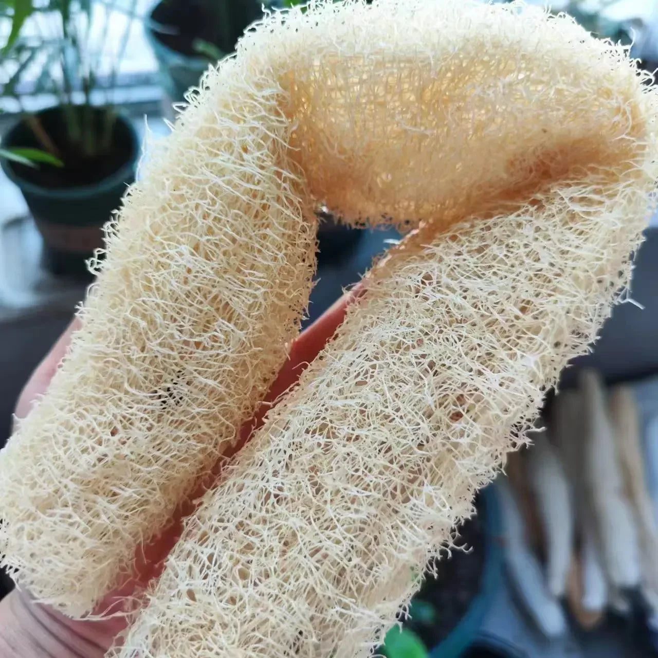 Natural Loofah Sponge for Body & Kitchen Cleaning - Multi-purpose Scrubber