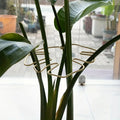 Large Hanging Plant Stand with Iron Hooks for Indoor and Outdoor Decoration