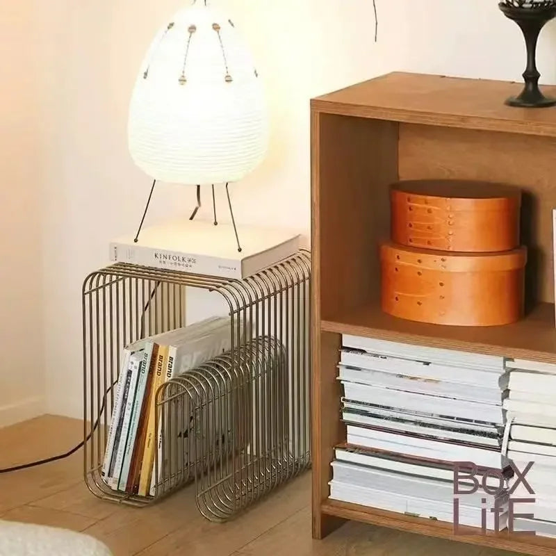 Modern Scandinavian Metal Coffee Table with Storage - Minimalist Living Room Side Table