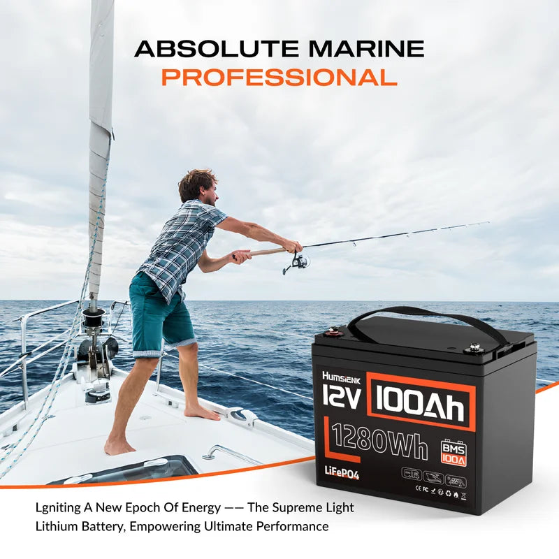 12V 100Ah LiFePO4 Lithium Battery for RV, Van, Trolling Motor, Off-Grid Power