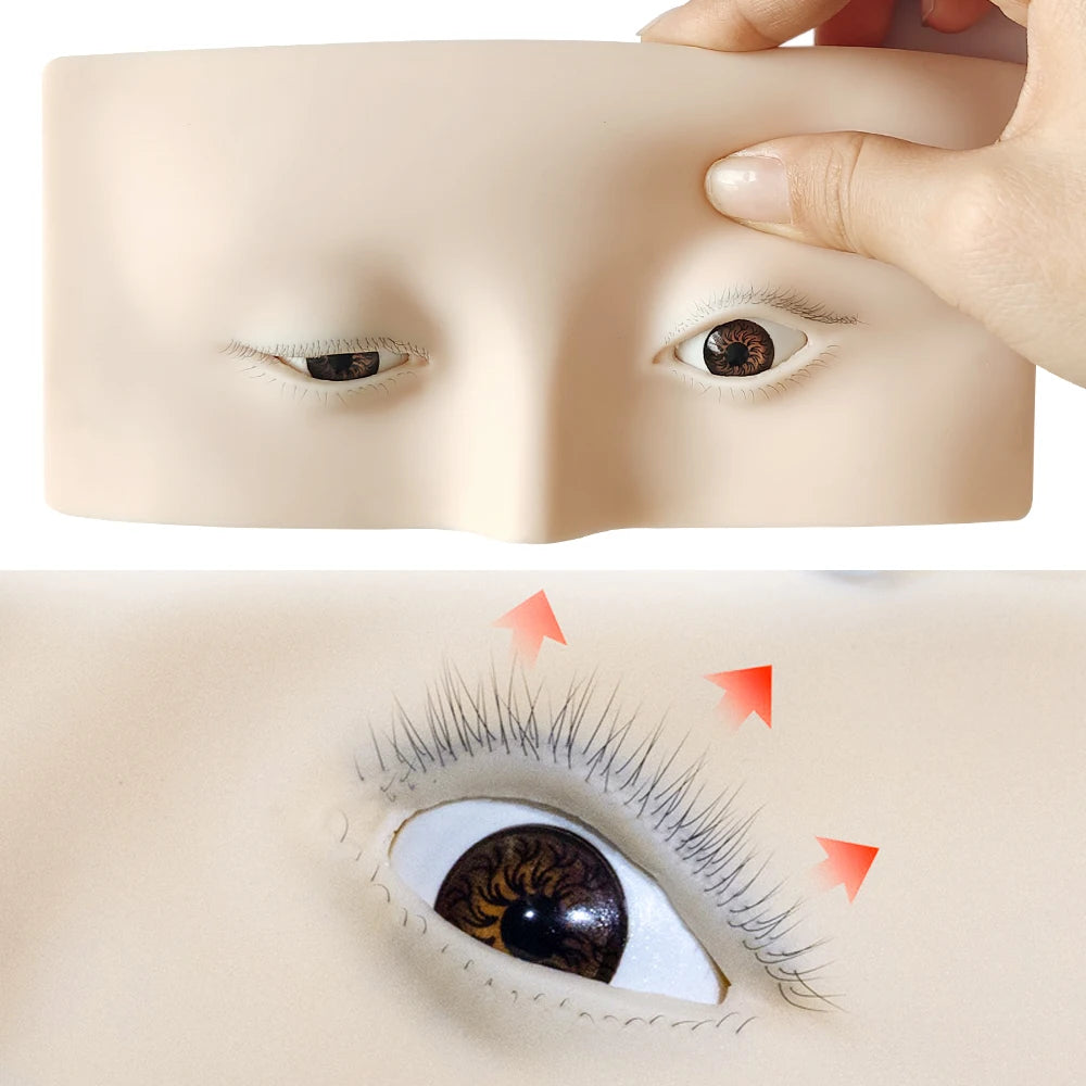 Reusable Human Head Model for Eyelash Practice and Styling Display