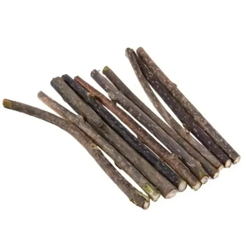 Natural Silvervine Chew Sticks for Cats Teeth Cleaning & Training - Kitten Teething Toy with Catnip Teaser