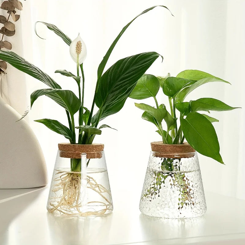 Glass Flowerpot Breeding Station Vase Rack - Desktop Hydroponic Plant Support