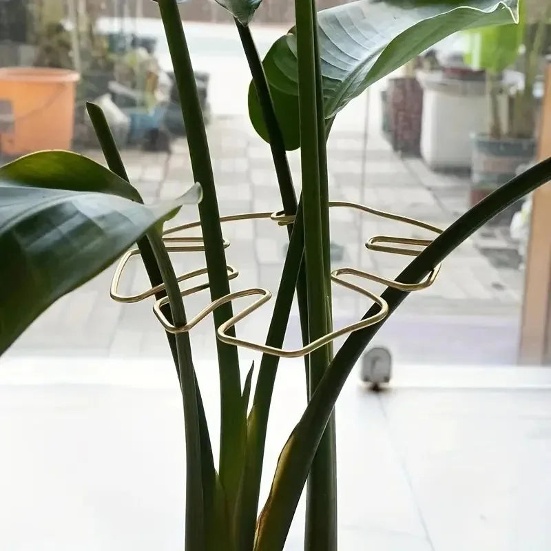 Indoor & Outdoor Hanging Plant Stand with Iron Hooks - Support Bracket for Flowerpots