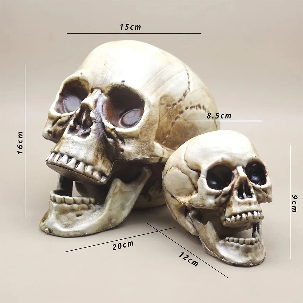 Realistic Plastic Skull Decoration for Halloween Haunted House & Garden Decor
