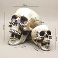 Realistic Plastic Skull Decoration for Halloween Haunted House & Garden Decor