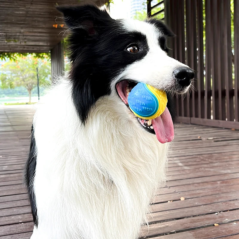 Dog Interactive Squeaky Toy Ball - Soft TPR Chew & Teeth Cleaning Pet Ball