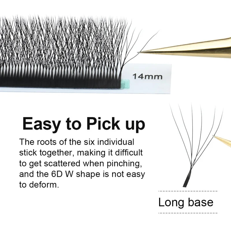 6D W Shape Natural False Eyelash Extensions - Premade Fans for Professional Lash Artists