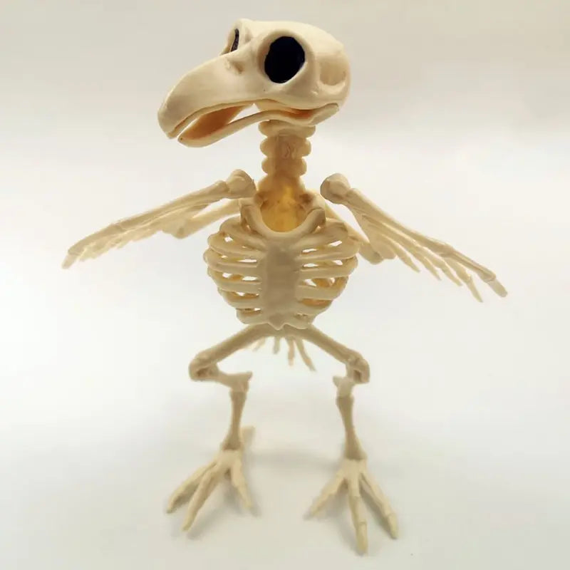 Halloween Skeleton Raven Decor - Plastic Bird Skeleton Prop for Spooky Scene