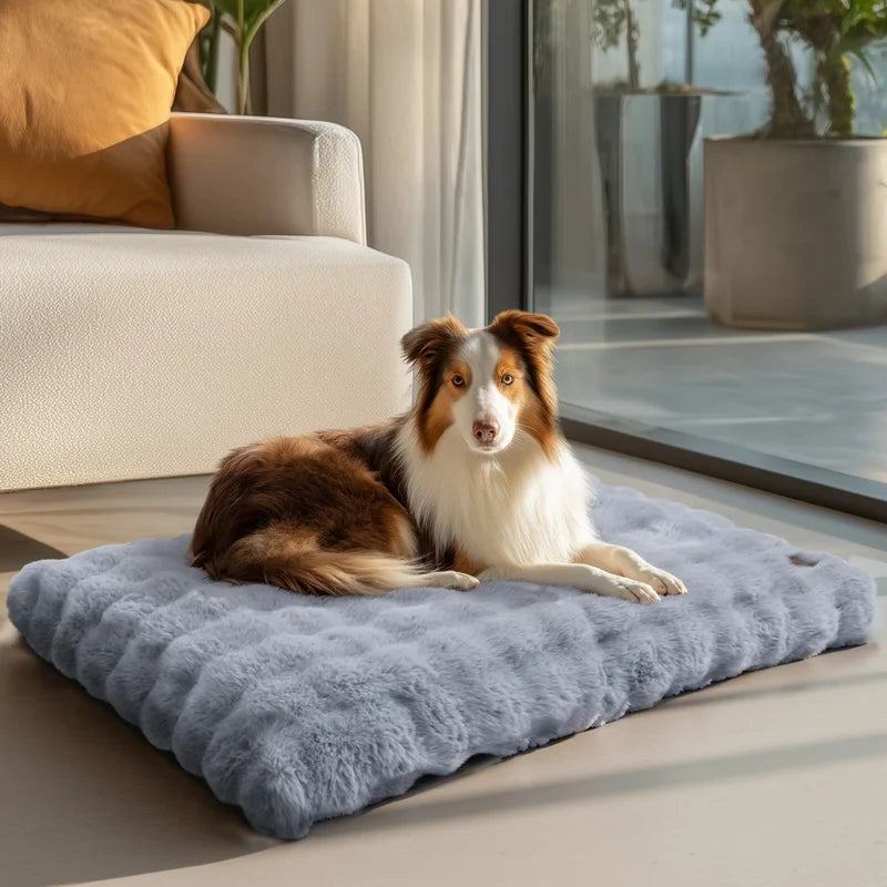 Ultra-Soft Plush Pet Bed with Thick Foam Base for Dogs and Cats