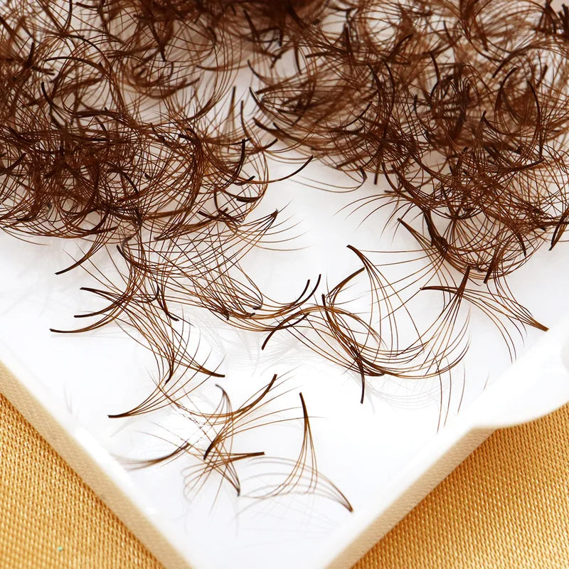 Premade Volume Lash Extensions - Brown PBT Fans, C/D Curl, 8-15mm Length