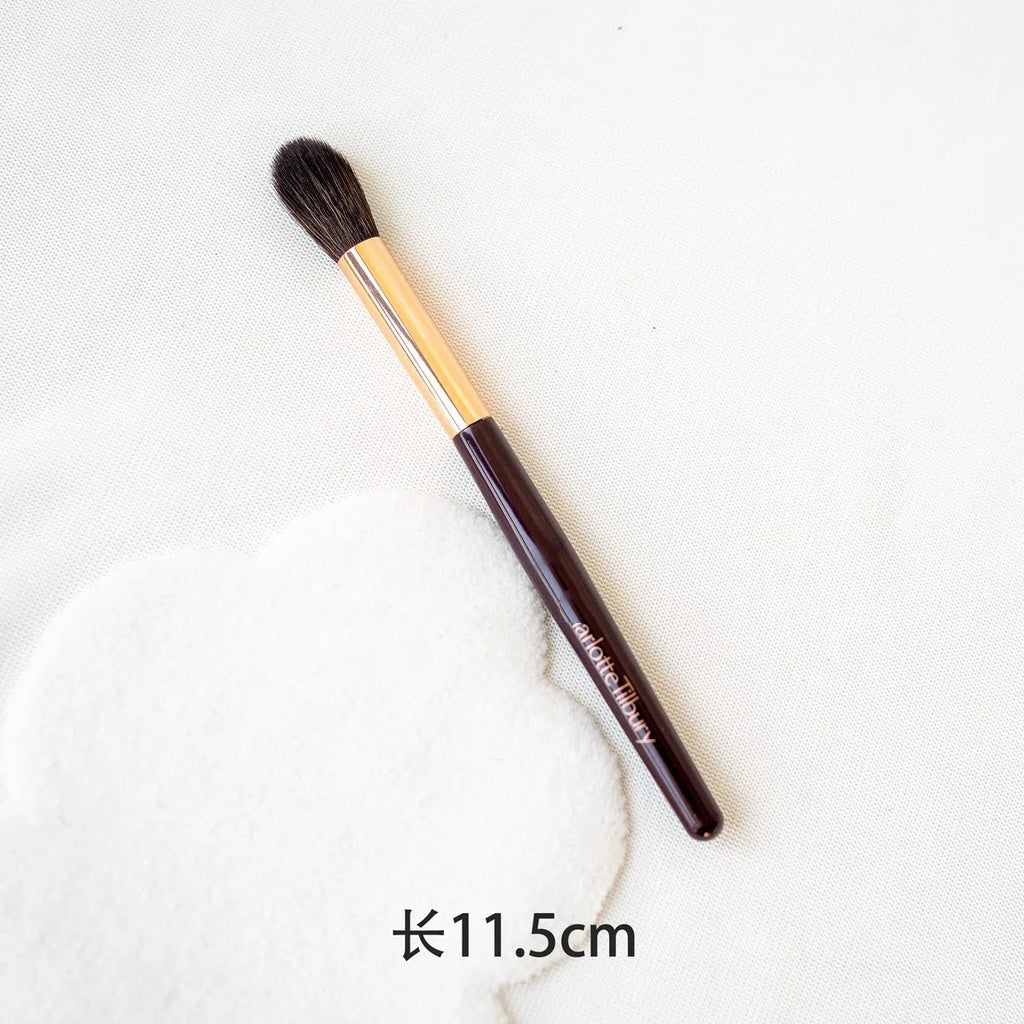 Makeup Brush Set with Mirror - Soft Fiber Face & Eye Brushes for Foundation and Blush