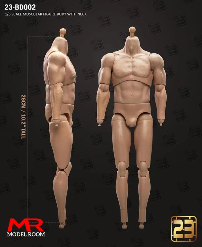 1/6 Scale Male Action Figure Body - Articulated Muscle Model, 23.5-27.5cm