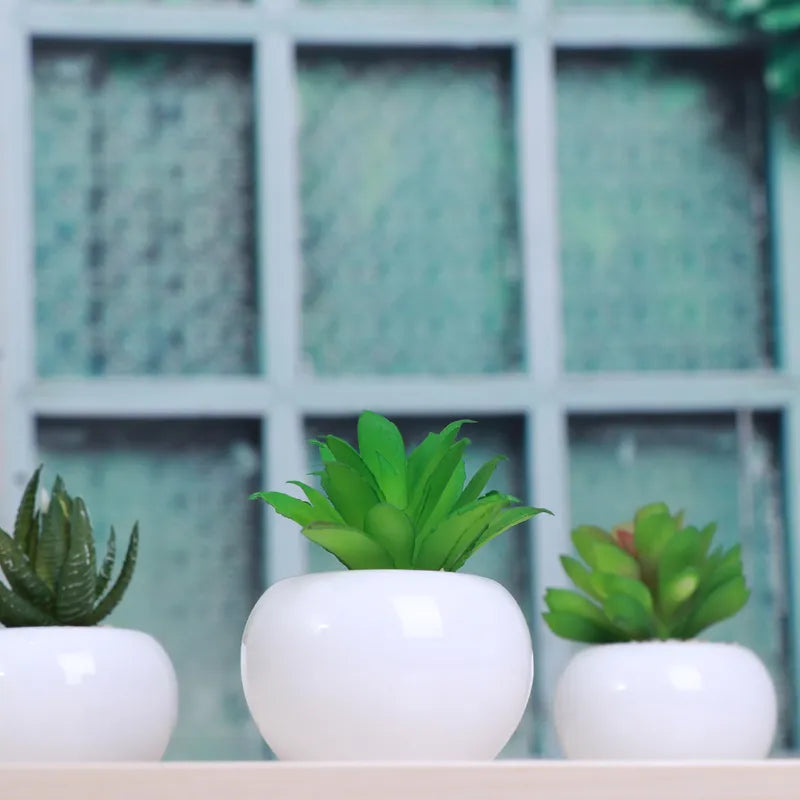3Pcs Artificial Succulent Plants - Realistic Faux Greenery for Office & Home Decor