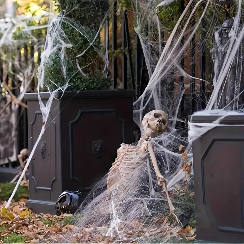 Stretchable Halloween Cobwebs with 2 Spiders Party Decorations for Haunted Houses & Home Decor