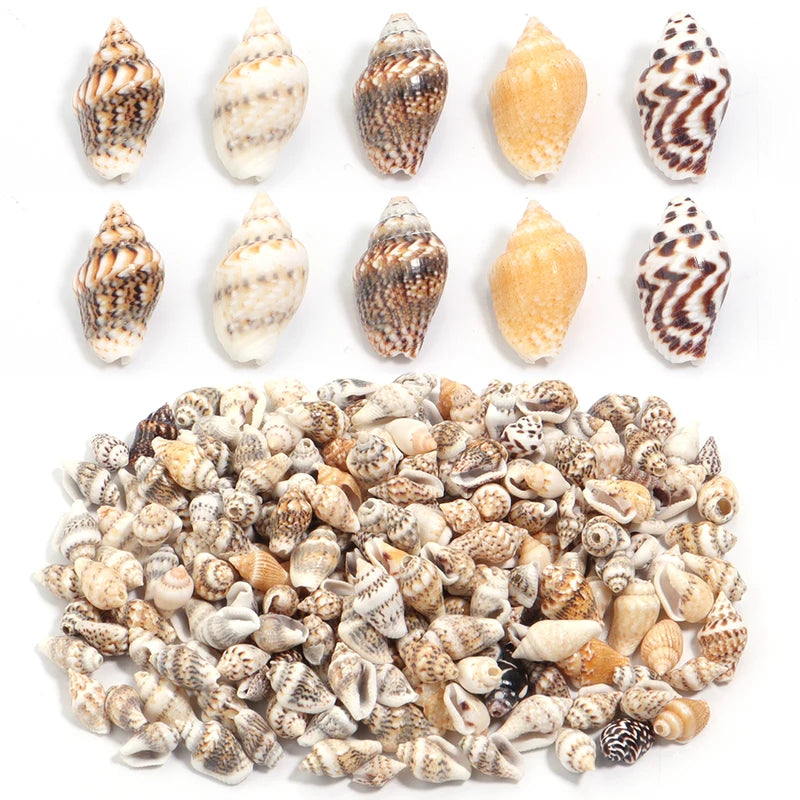 Natural Sea Flower Snail Shell Beads for Jewelry Making Loose Spacer Beads DIY Crafts