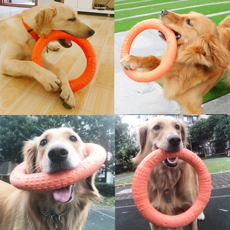 Dog Flying Disk Toy Interactive Training Ring EVA Resistant Fetch Ring