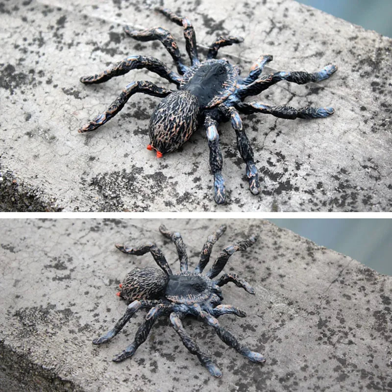 Realistic Fake Spider Prank Toy Halloween Decoration Halloween Trick or Treat Prop