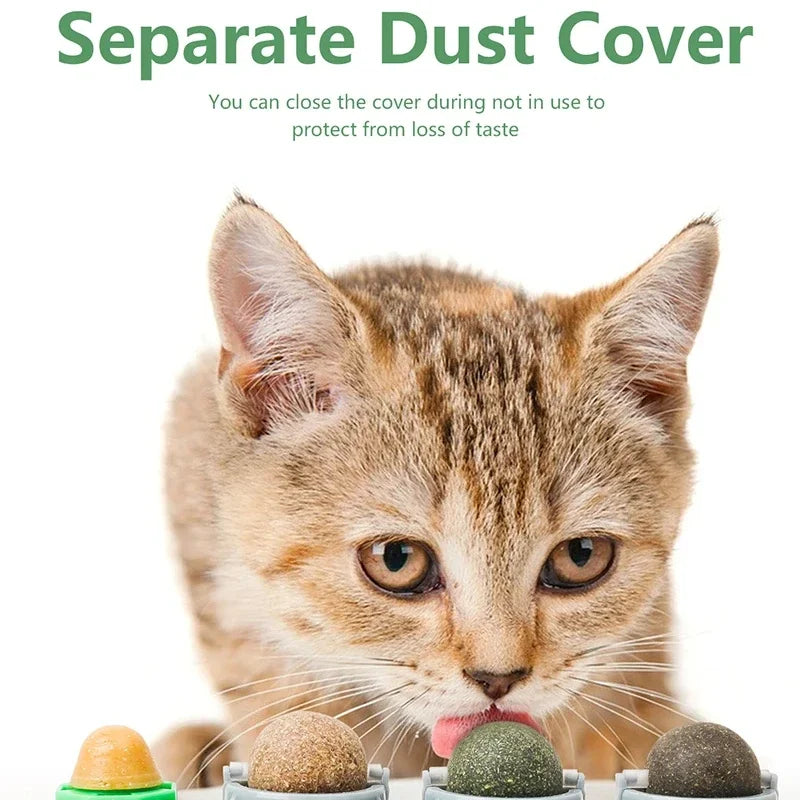 4-in-1 Rotating Catnip and Silver Vine Toy for Cats - Teeth Cleaning & Digestive Health