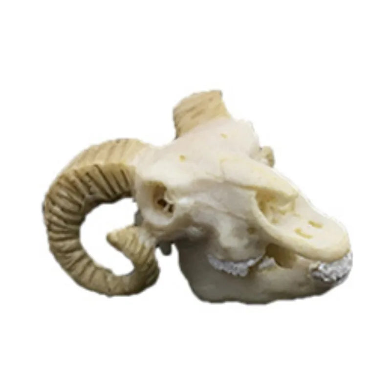 Aquarium Decor Resin Dinosaur Crocodile Sheep Skull & Ape-Man Figurines