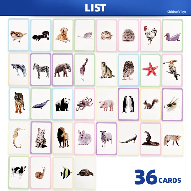 Double-Sided Animal Recognition Flash Cards for Kids Learning - 36 Pack