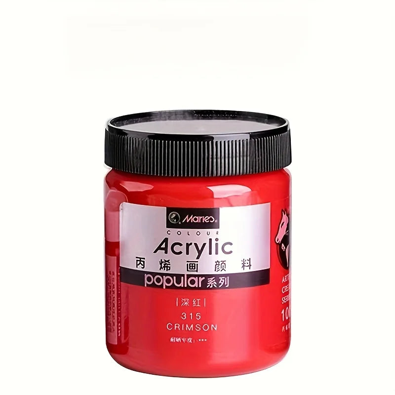 300ml Acrylic Paint for Art Wall, DIY Crafts, Hand-Painted Clothes & Shoes, Indoor Use
