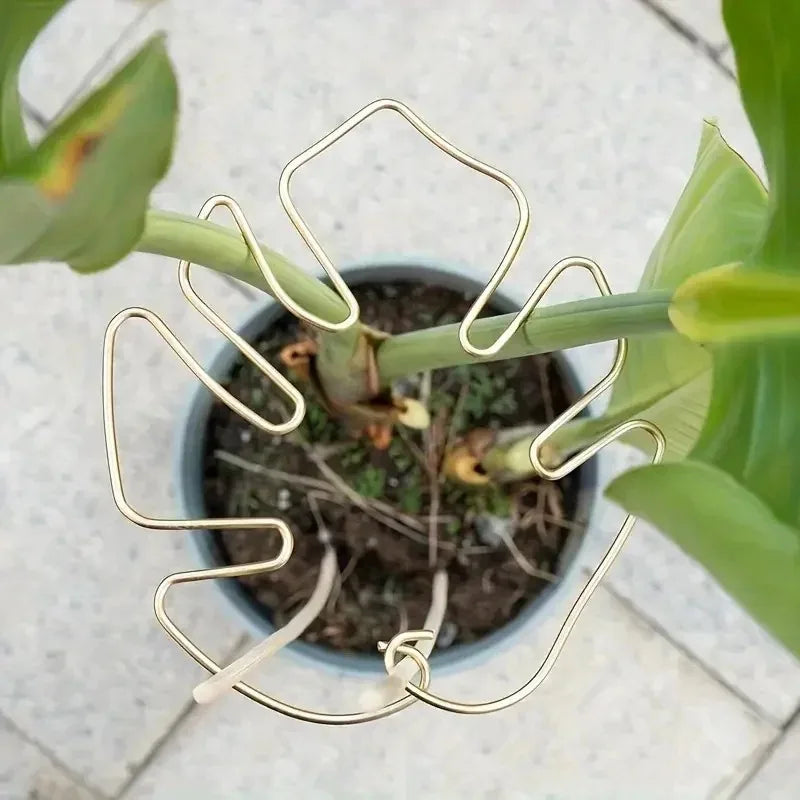 Indoor & Outdoor Hanging Plant Stand with Iron Hooks - Support Bracket for Flowerpots