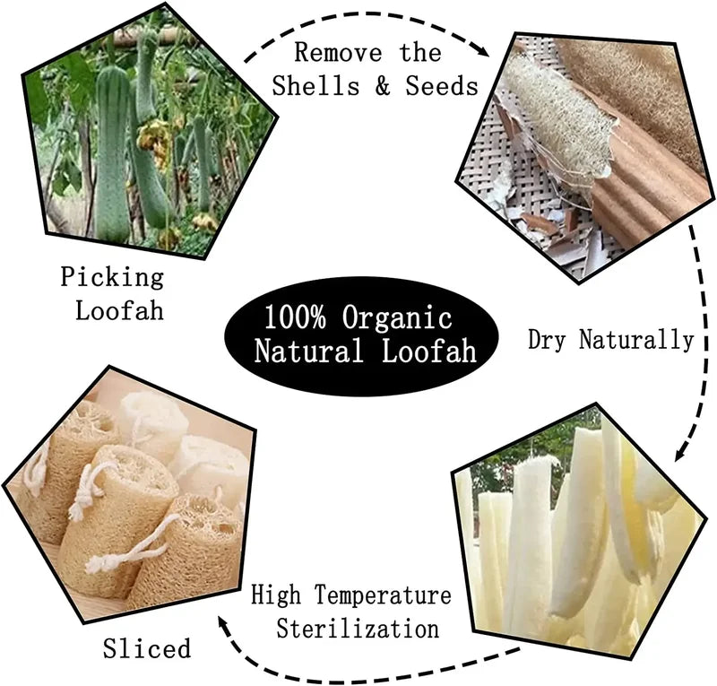 Natural Loofah Sponges Set - Organic Exfoliating Bath & Body Scrubber, 5 pcs