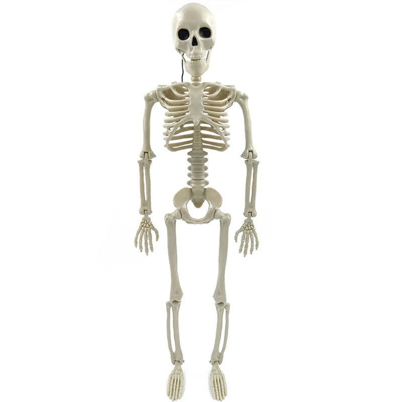 Full Size Movable Skeleton Skeleton Sculpture for Halloween Yard Garden Patio Decor
