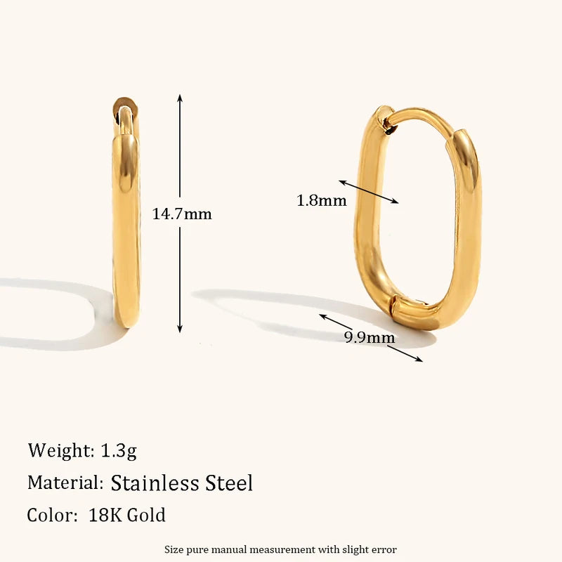 Stainless Steel Hoop Earrings for Women - Hypoallergenic & Waterproof Jewelry