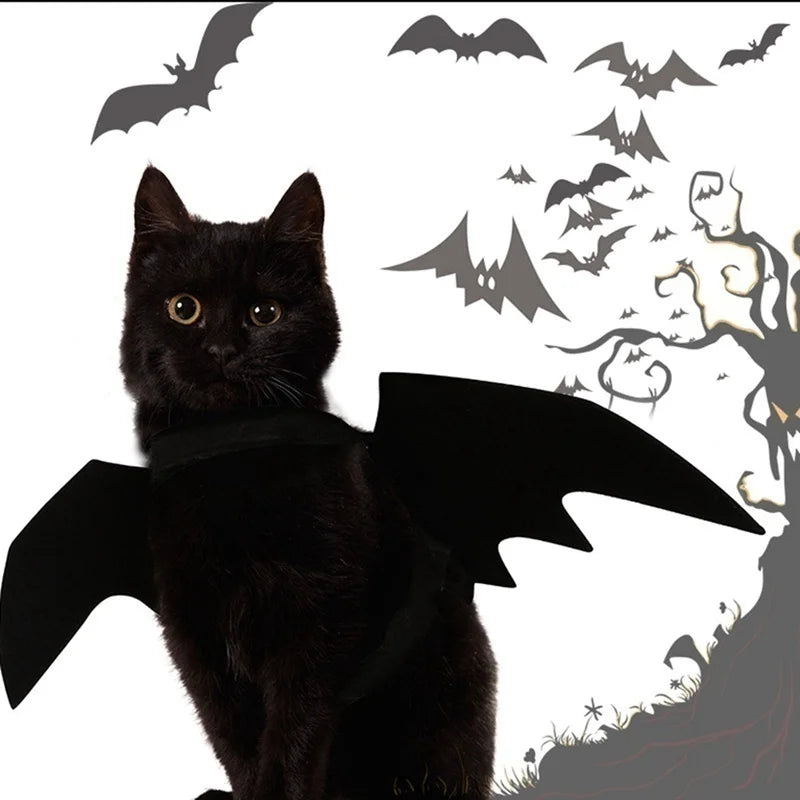 Pet Halloween Bat Wings Costume for Cats and Dogs - Black Cosplay Harness