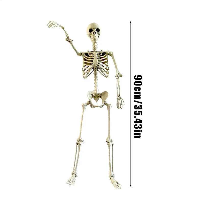 Realistic Life-Size Human Skeleton with Movable Joints for Halloween Decorations