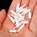 Disposable Lip Brush Replacement Heads - 1000pcs for Lipstick & Lip Gloss Application