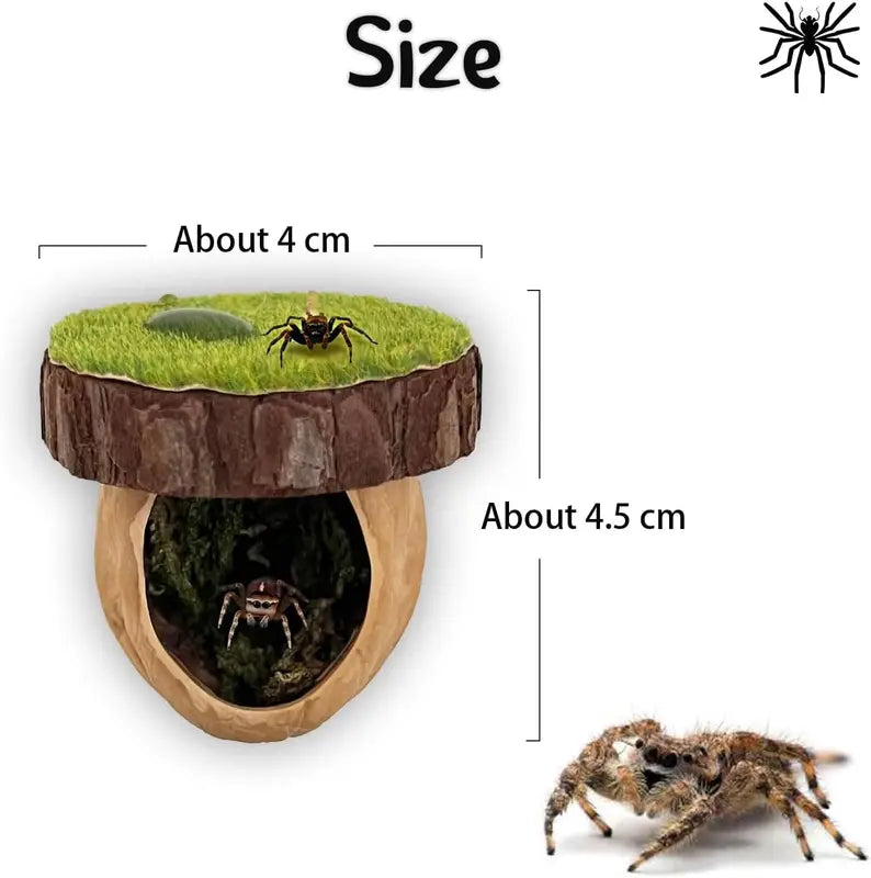 Jumping Spider Enclosure Kit with Hideout & Decor - Natural Habitat Accessories