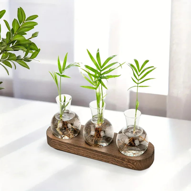 Glass Terrarium with Wooden Tray for Indoor Plants and Propagation