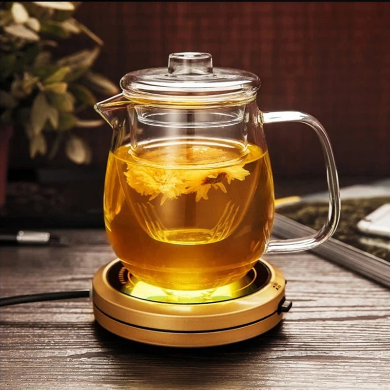 Glass Teapot Penguin Shape Chinese Tea Ceremony Set 480ML 600ML Transparent