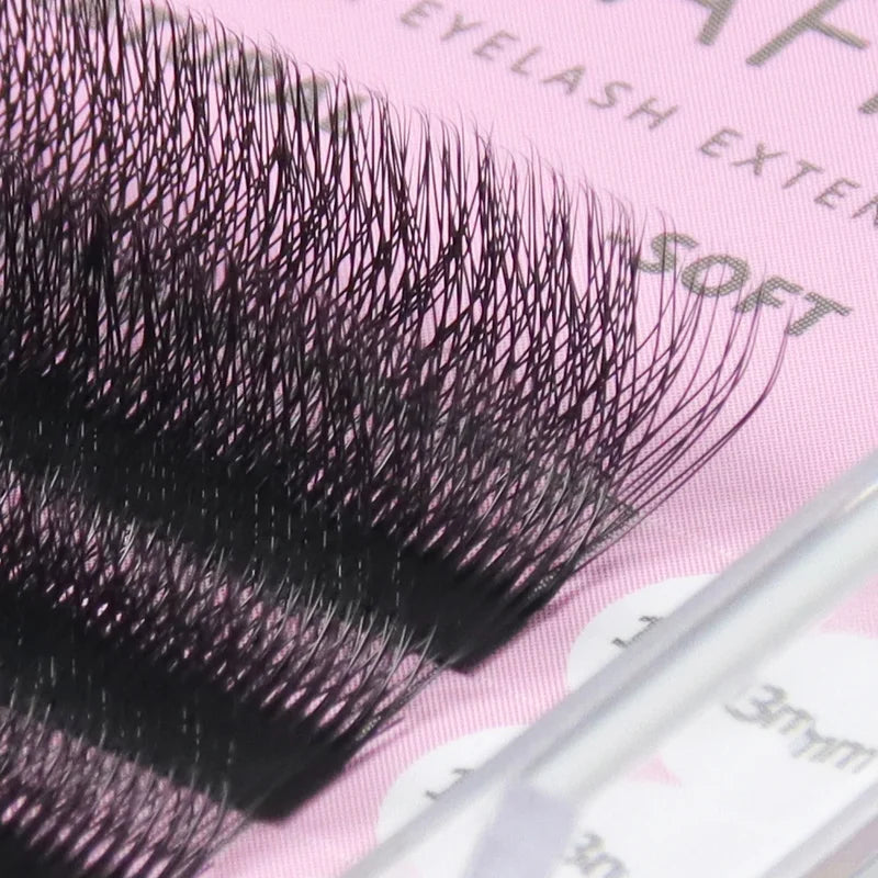 6D W Premade Volume Lash Extensions Natural Soft False Eyelash Fans