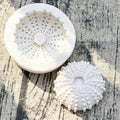 Sea Urchin Shell Silicone Cake Mold for Fondant & Chocolate Decoration