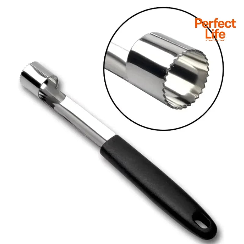 Fruit Corer and Pitter Tool for Apples Pears Bell Peppers Stainless Steel Kitchen Gadget