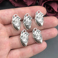Human Heart Anatomical Charms Set for Jewelry Making - 5pcs Science Pendant