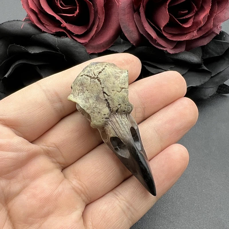 Crow Skull Necklace Pendant Set 3D Gothic Bird Jewelry Halloween Accessory