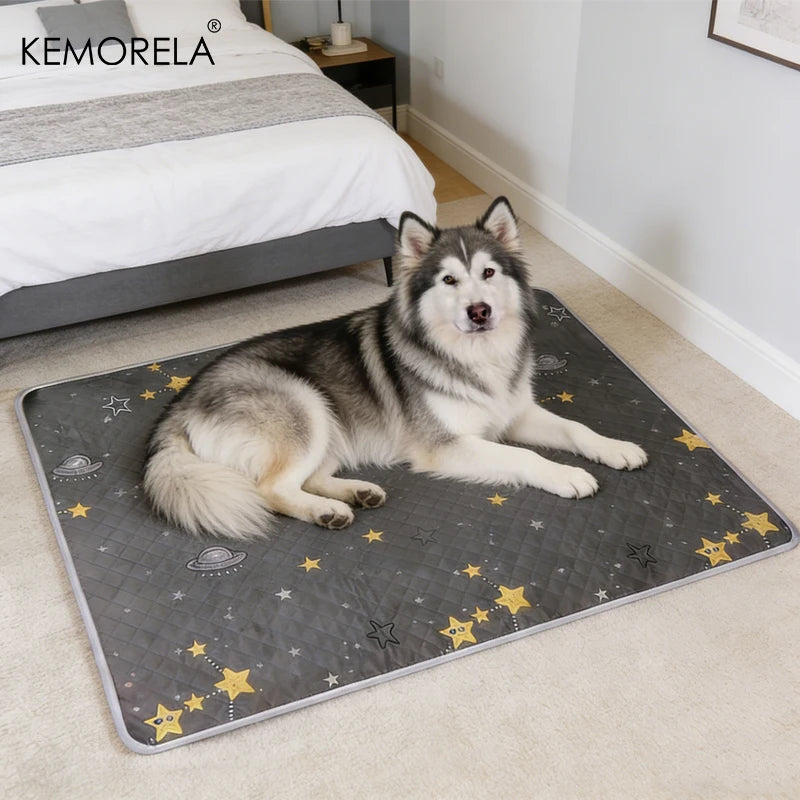 Washable Reusable Pet Urine Pads Floor Mat for Cats and Dogs - Multipurpose, All Seasons