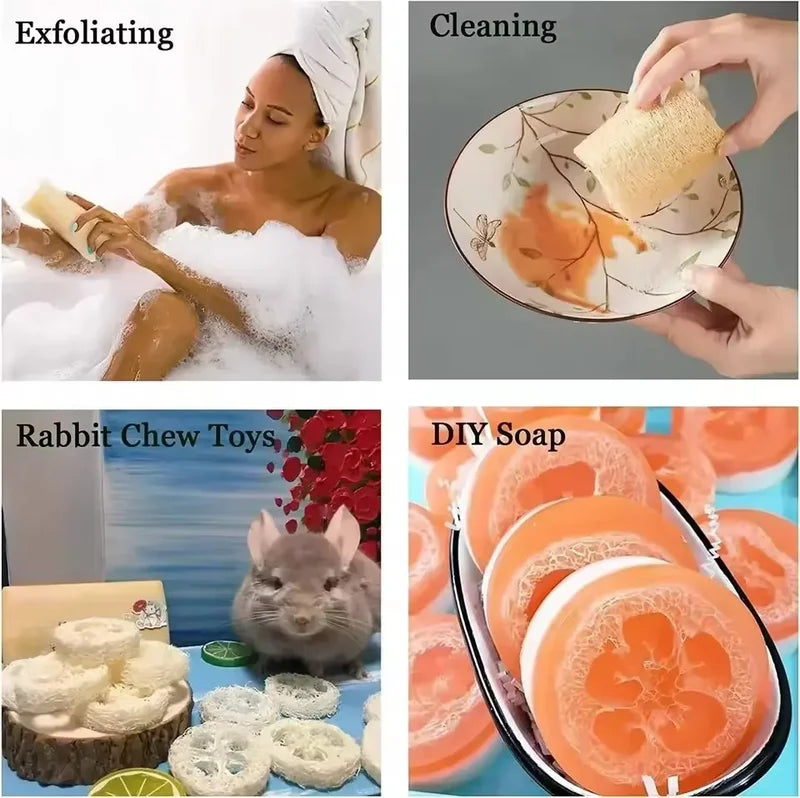 Natural Loofah Exfoliating Body Sponge with Rope for Skin Care Spa Shower