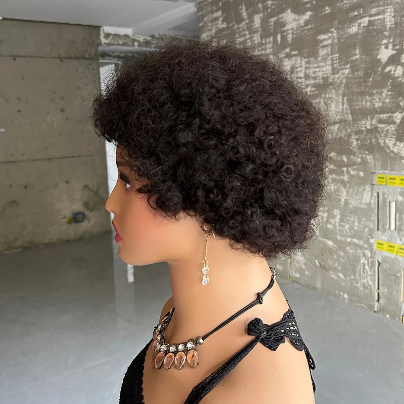 Short Afro Kinky Curly Human Hair Wigs for Women - Full Machine Made Wig