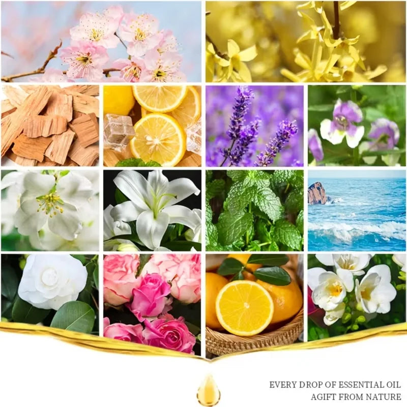Essential Oil Set 3 Pack - Rosemary, Lemongrass, Lemon 10ml Bottles for Body Massage