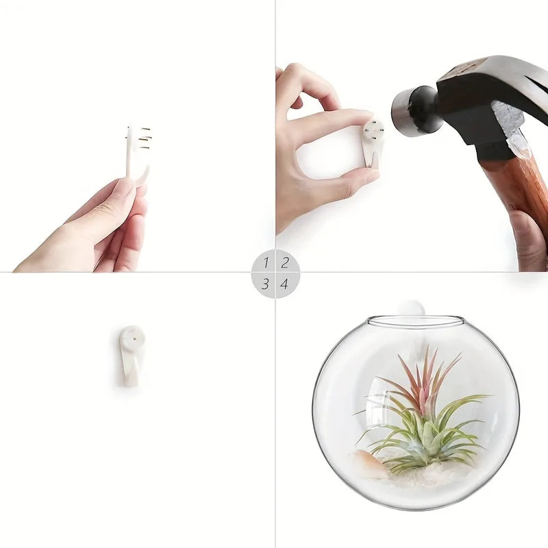 Wall Hanging Glass Terrarium with Self-Watering Hydroponic System - Handmade Round Crystal Vase