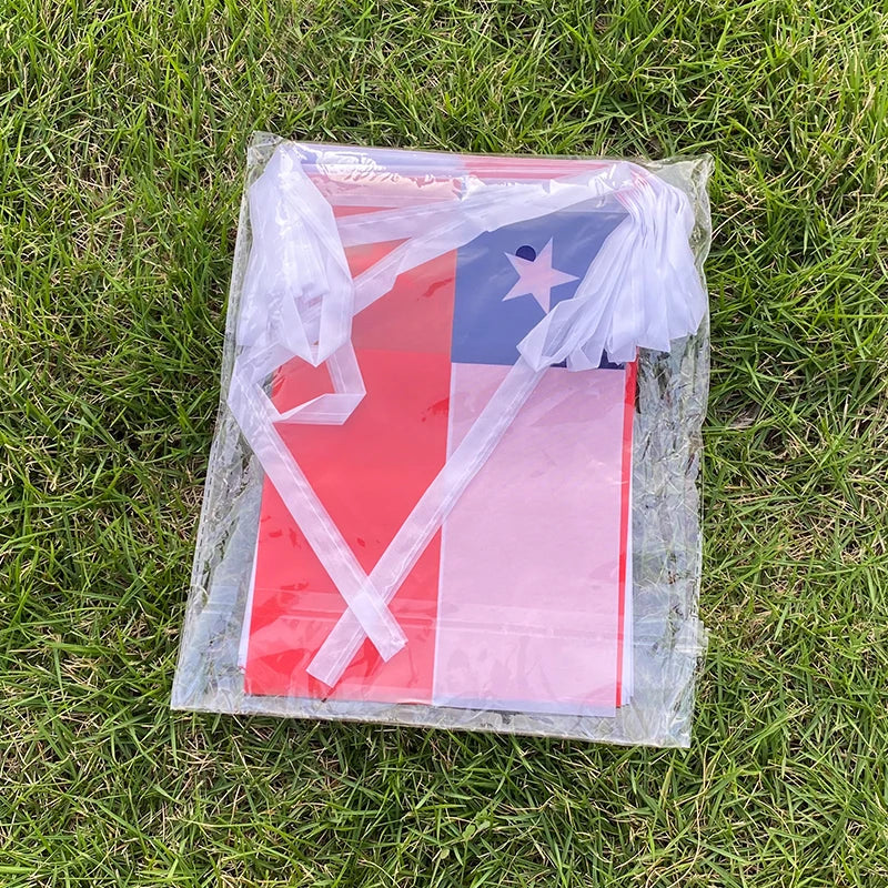 Party Flags - 20 Pcs Chile Bunting Pennants for Festivals & Events