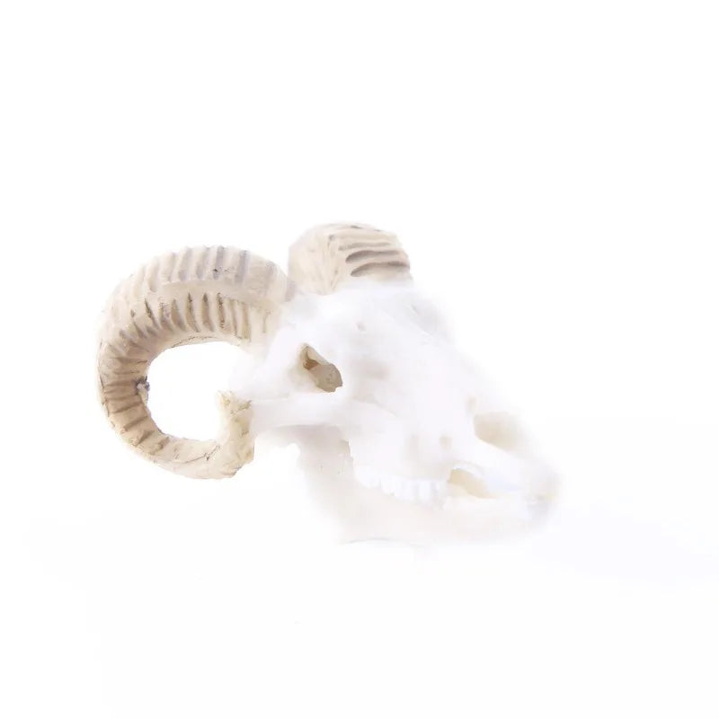 Aquarium Decor Resin Dinosaur Crocodile Sheep Skull & Ape-Man Figurines
