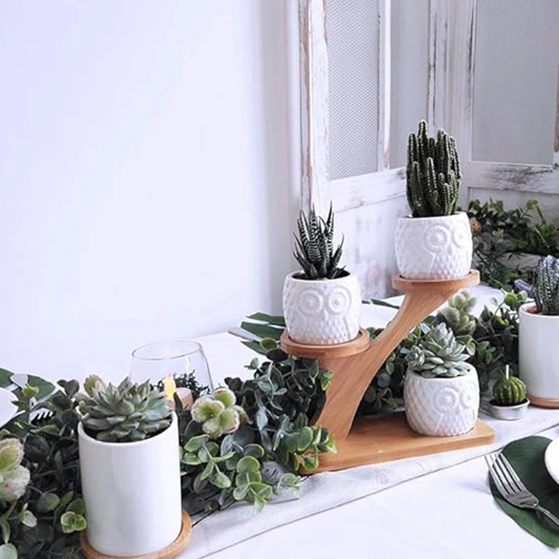 Mini Indoor Plant Stands for Window Sills & Desks, 3-Tier Space-Saving Shelves